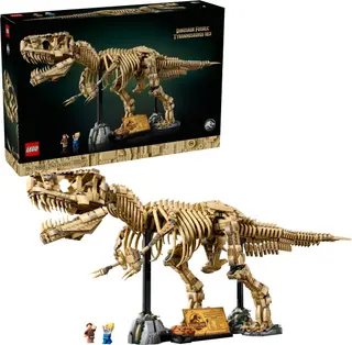 Fossiles de dinosaures : Tyrannosaurus rex