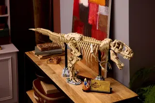 Fossiles de dinosaures : Tyrannosaurus rex