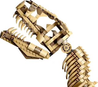Fossiles de dinosaures : Tyrannosaurus rex