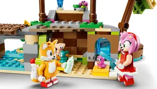 Amy's Dierenreddingseiland