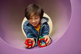 Tête de tomate