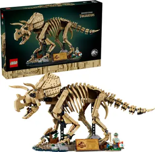 Fossiles de dinosaures : Tricératops