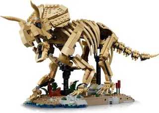 Fossiles de dinosaures : Tricératops