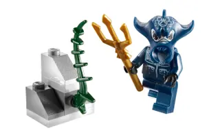 Manta Warrior