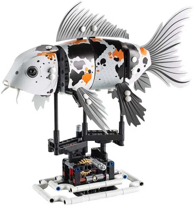 Koi
