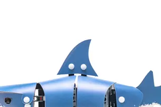 Peau de requin