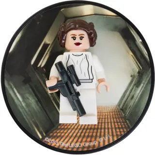 Princess Leia Magnet
