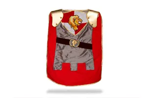 Good Knight's Armour
