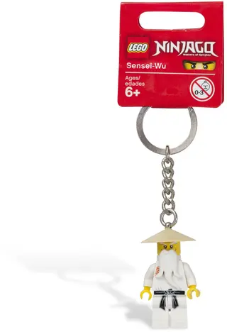 Sensei Wu Key Chain