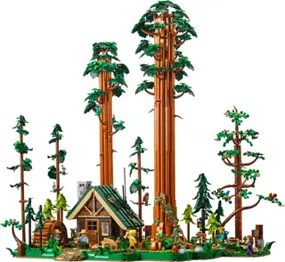 Sequoia-Baumpfad