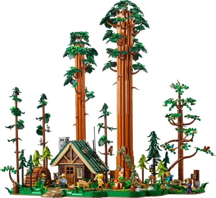 Sequoia-Baumpfad