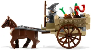 Gandalf Arrives
