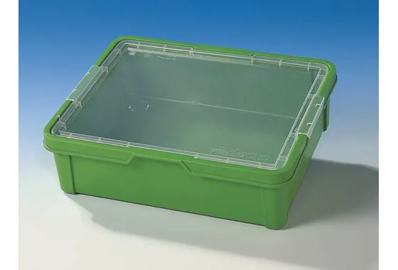 Grüne Aufbewahrungsbox mit Deckel